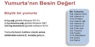 Yumurta Besin Deeri