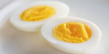 Yumurtanın Sarısı