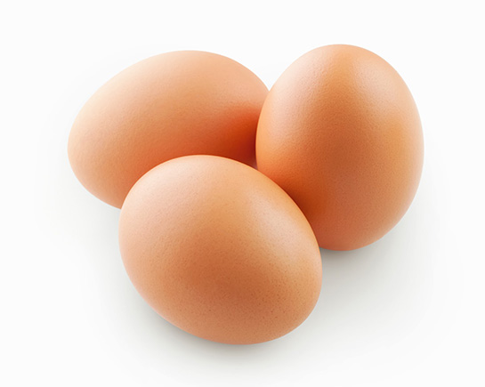 Yumurta Protein